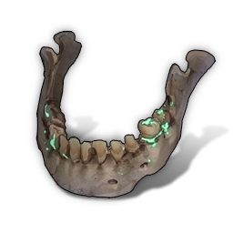 Radium Jawbone